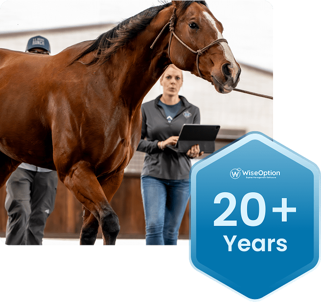 Horse with Vet